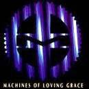 Machines Of Loving Grace : Rite of Shiva